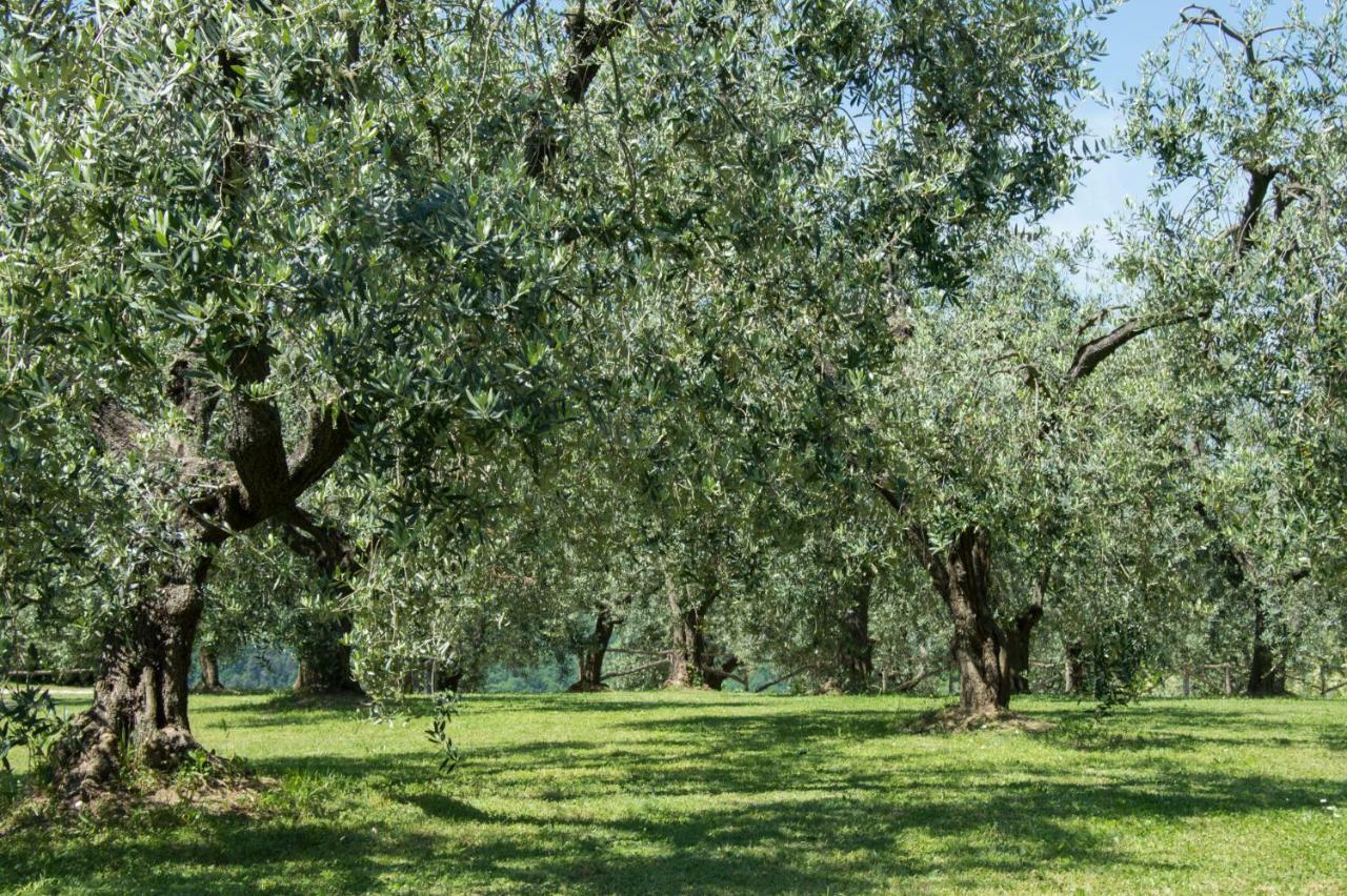 Agriturismo Podere La Casa Палая Экстерьер фото